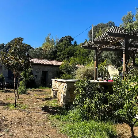 아파트 Casa Sultana